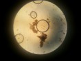 /album/kepgaleria-kezdolap1/a20140509-180000-0-jpg/